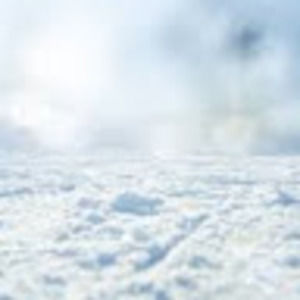 Meet your Posher, Sofia